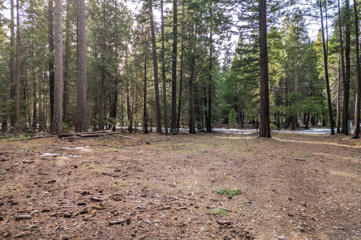 Thatcher Mill Road, Shingletown, CA 96088 - #1