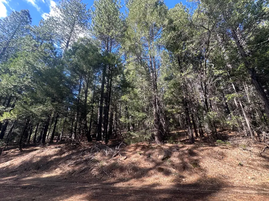 0 Rl Smith Lumber Co Road, Oak Run, CA 96069 - #2