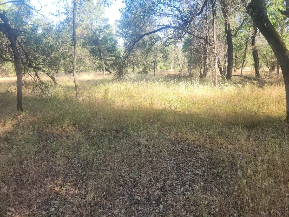 12910 Old Oregon Trail, Redding, CA 96003 - #1