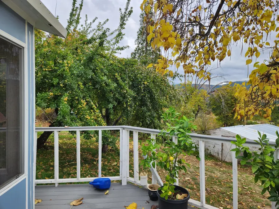 19277 Woodhill Drive, Montgomery Creek, CA 96065 - #3