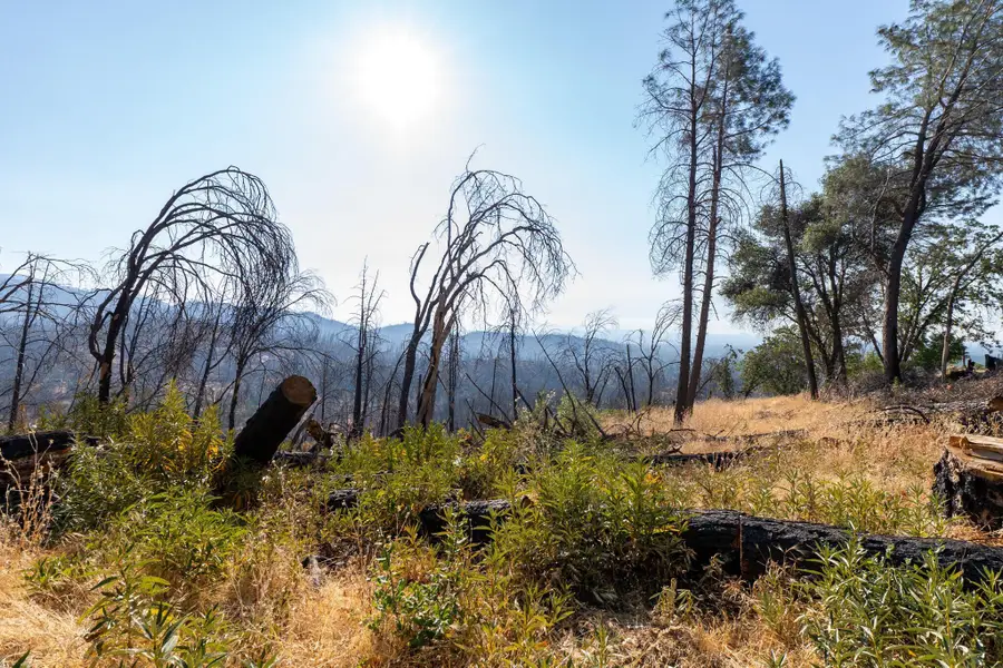 000 Wintu Way, Redding, CA 96003 - #3