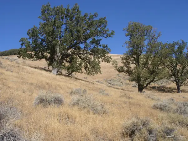 23021 Matterhorn Place, Tehachapi, CA 93561