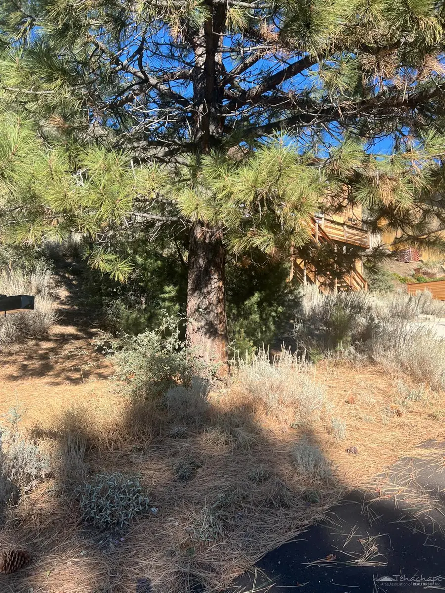 15121 Acacia Way, Pine Mountain Club, CA 93222 - Image #3