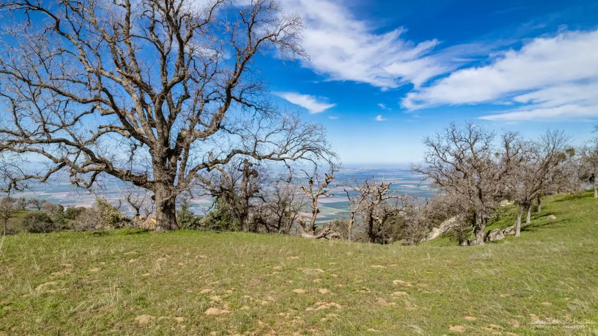 26300 Hazelwood Court, Tehachapi, CA 93561 - #1