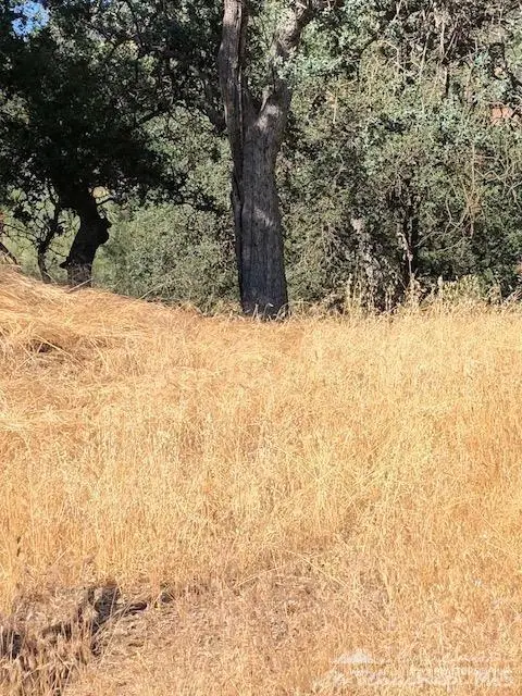 25900 Derrick Court, Tehachapi, CA 93561 - Image #1