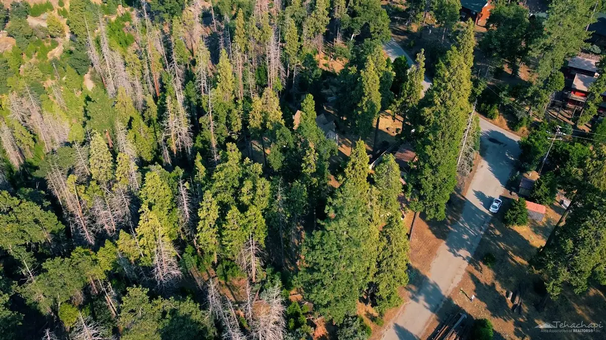 0 Manzanita Dr, Posey, CA 93260 - Image #1