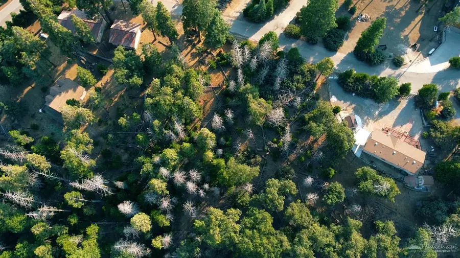 0 Manzanita Dr, Posey, CA 93260 - Image #2