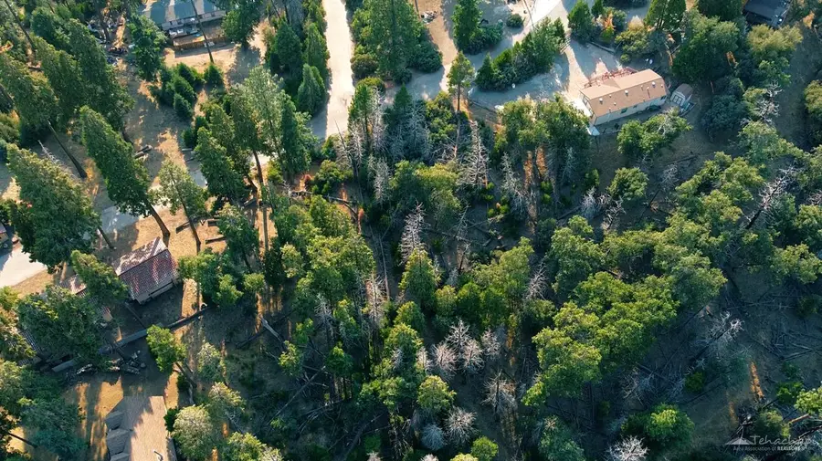 0 Manzanita Dr, Posey, CA 93260 - Image #3