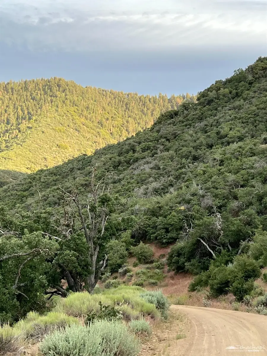 17401 St Moritz Drive, Tehachapi, CA 93561 - Image #3