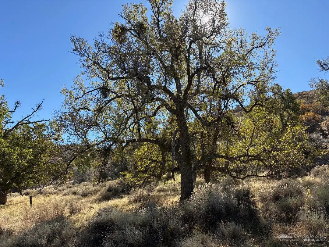 0 Alps Court, Tehachapi, CA 93561 - Image #1