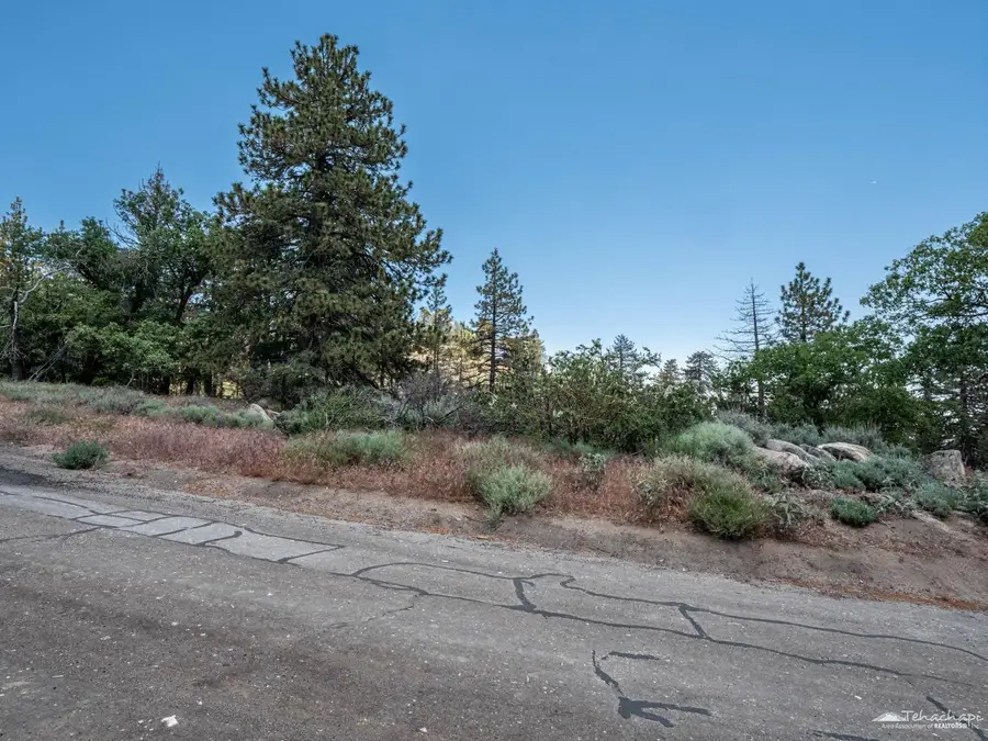 25880 Wilderness Way, Tehachapi, CA 93561 - Image #2