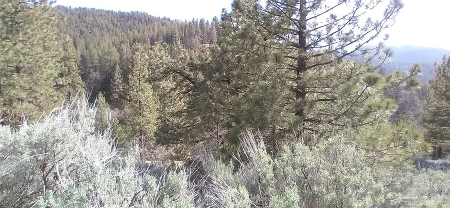 16401 Jungfrau Way Lot 9, Tehachapi, CA 93561 - Image #3