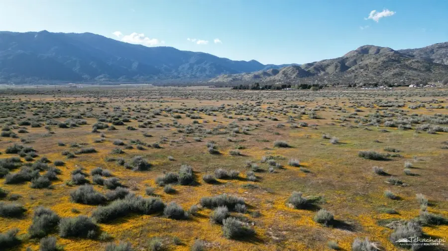 40855 Dynamite Court, Caliente, CA  - Image #2