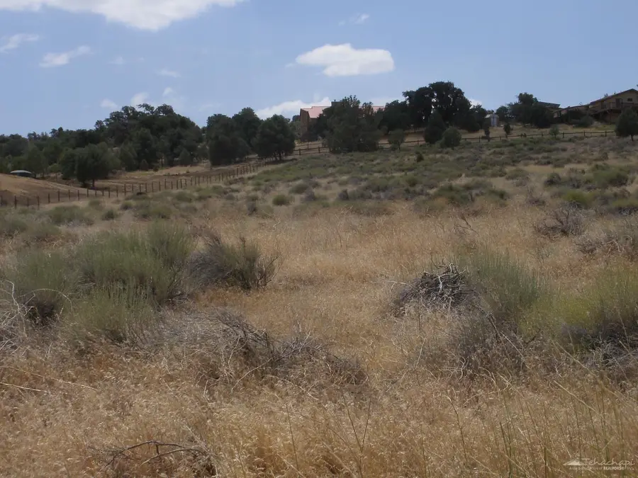 0 Tamblin Rd Lot 239, Tehachapi, CA 93561 - Image #3