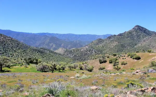 0 High Ridge Rd, Lot 19, Caliente, CA 93518