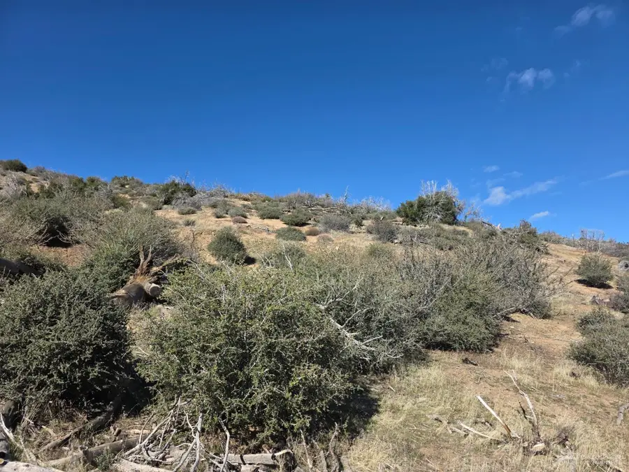 0 Blackburn Canyon Rd, Tehachapi, CA 93561 - Image #2