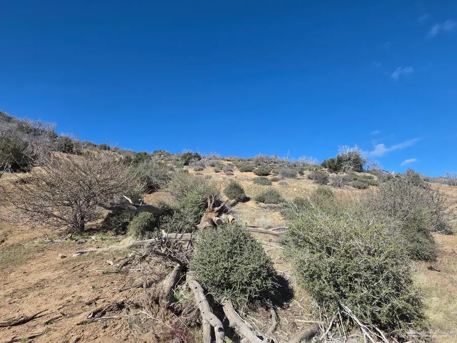 0 Blackburn Canyon Rd, Tehachapi, CA 93561 - Image #3