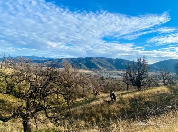 30601 Rolling Oak Drive, Tehachapi, CA 93561 - Image #2