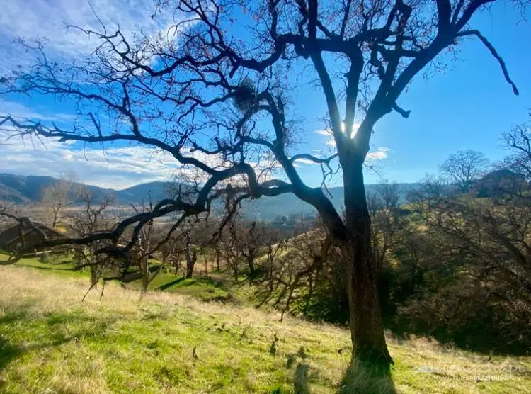 30601 Rolling Oak Drive, Tehachapi, CA 93561 - Image #3