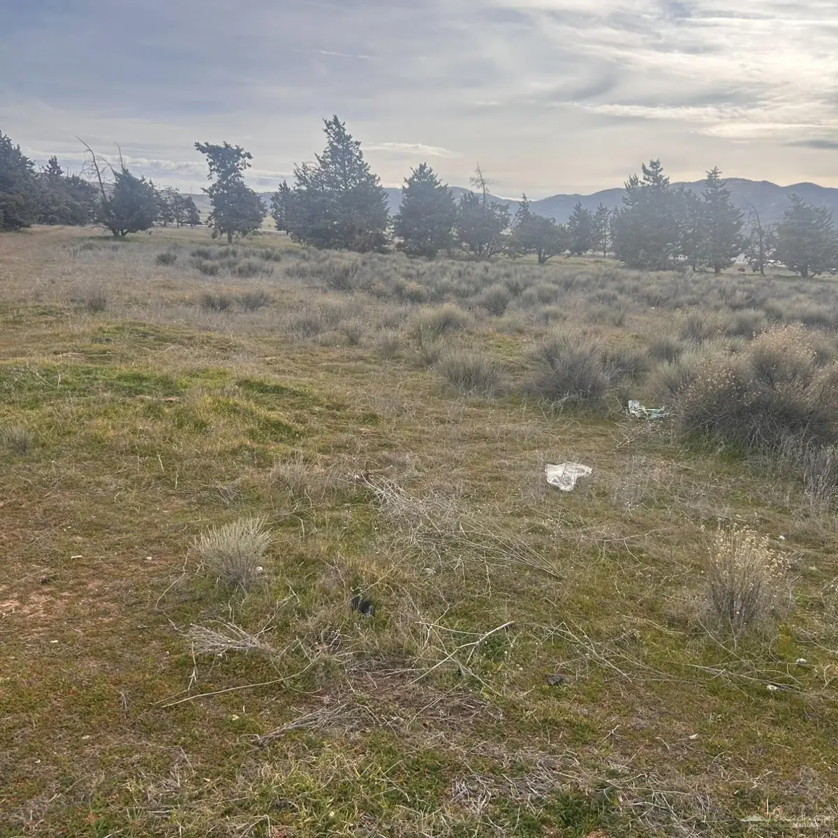 0 E Tehachapi Boulevard, Tehachapi, CA 93561 - Image #1