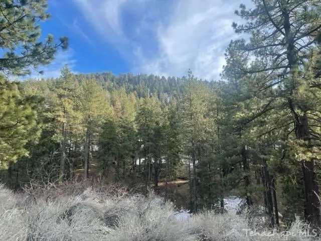 0 Matterhorn Drive, Tehachapi, CA 93561 - Image #2