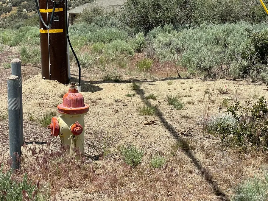 24241 Jacaranda Drive, Tehachapi, CA 93561 - Image #3