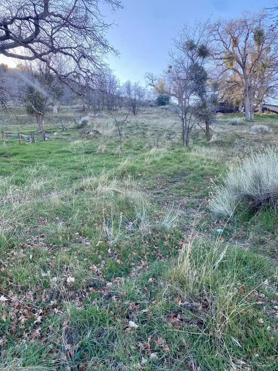 0 Willaim Tell Trail, Tehachapi, CA 93561 - #3