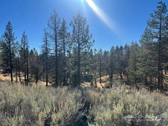 25701 Paramount Drive, Tehachapi, CA 93561 - #1