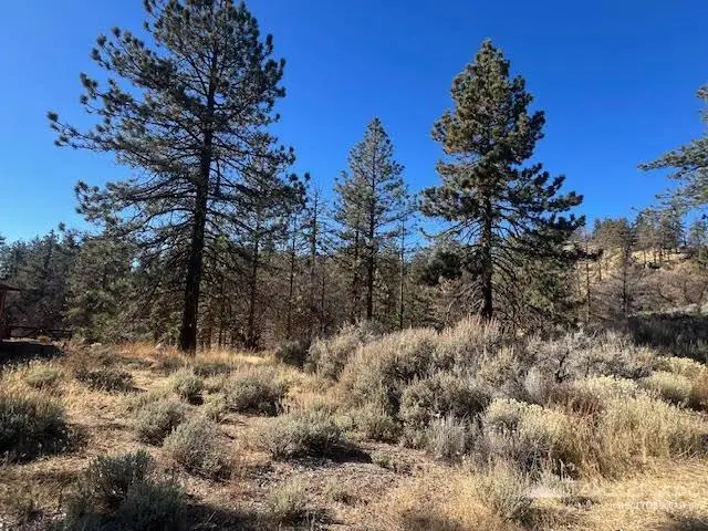 25701 Paramount Drive, Tehachapi, CA 93561 - #2