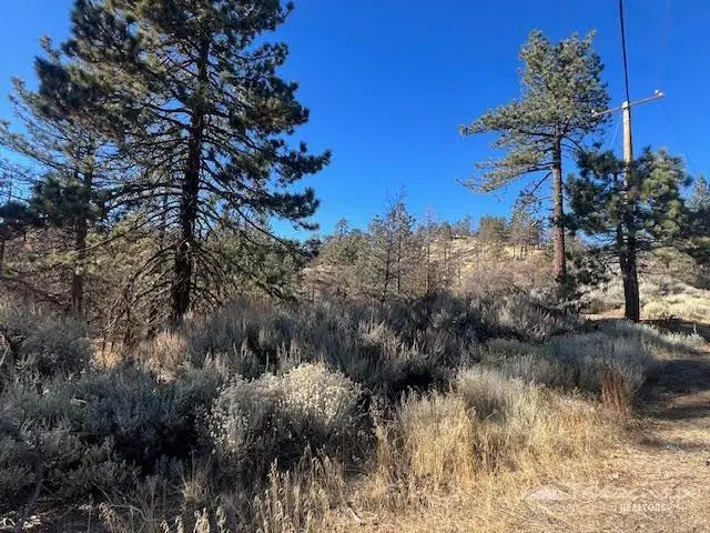 25701 Paramount Drive, Tehachapi, CA 93561 - #3