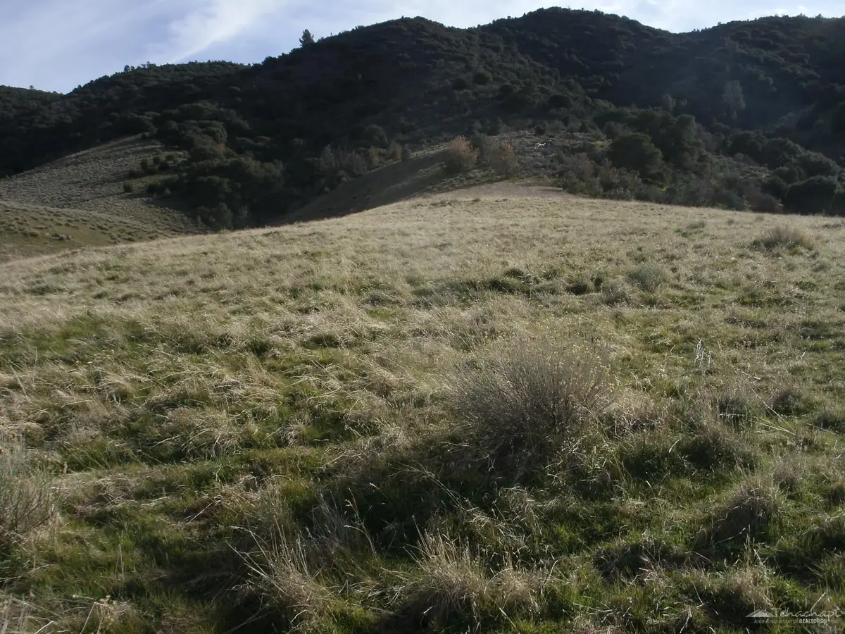 0 Siskiyou Lot 183, Tehachapi, CA 93561 - #1