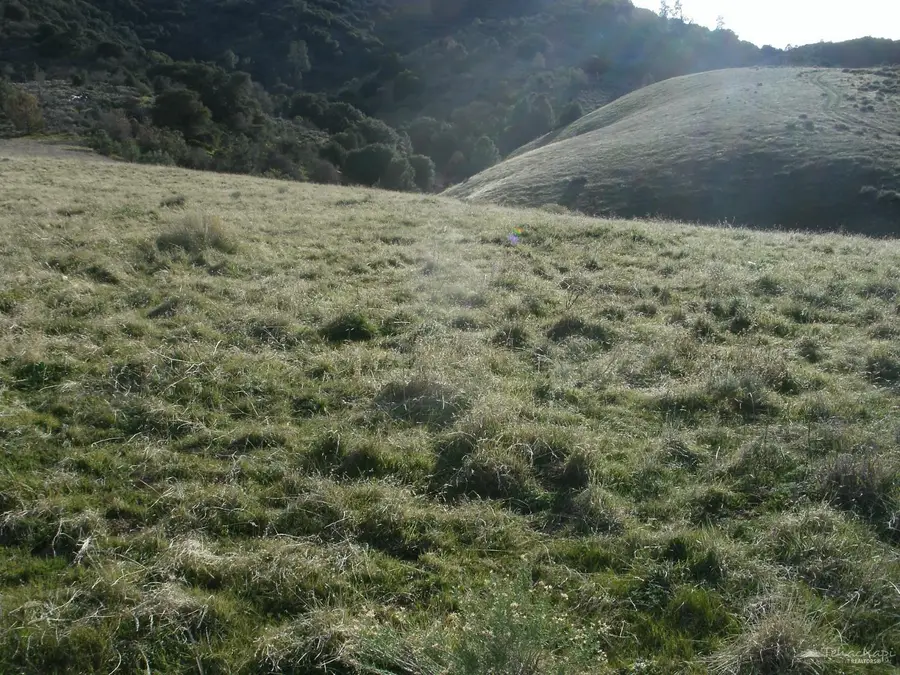 0 Siskiyou Lot 183, Tehachapi, CA 93561 - #3