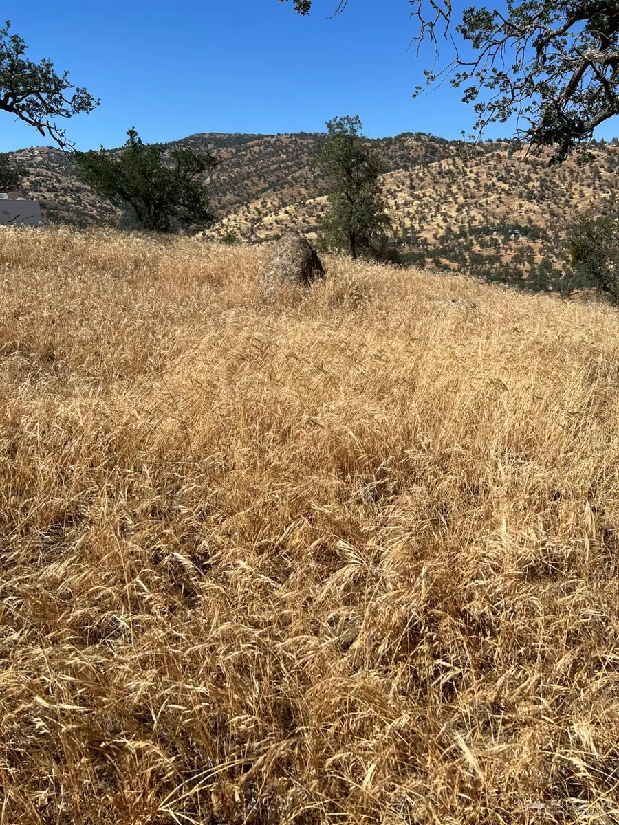 0 Comanche Point Road, Tehachapi, CA 93561 - #2