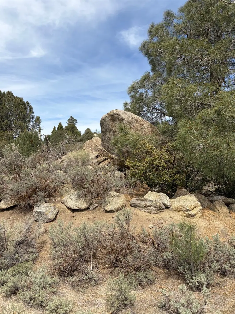 26501 Winchester Court, Tehachapi, CA 93561 - #2