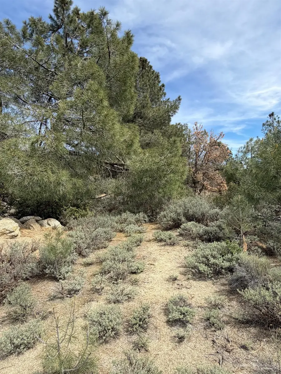 26501 Winchester Court, Tehachapi, CA 93561 - #3