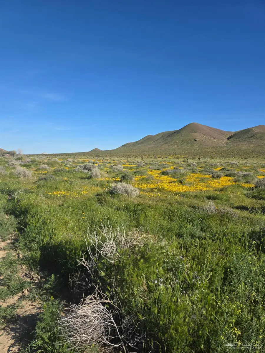 0 8684 Sweetser Road, Rosamond, CA 93560 - #2