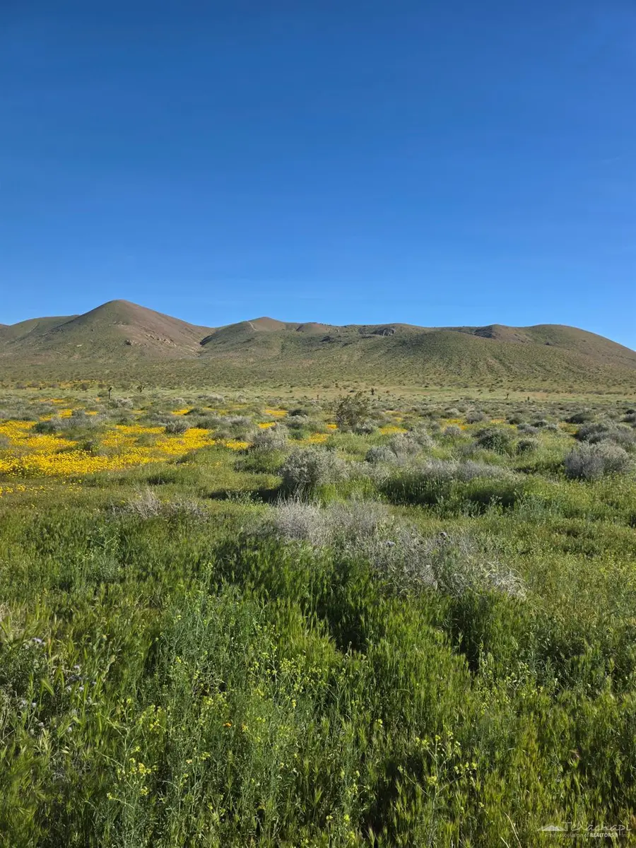 0 8684 Sweetser Road, Rosamond, CA 93560 - #3