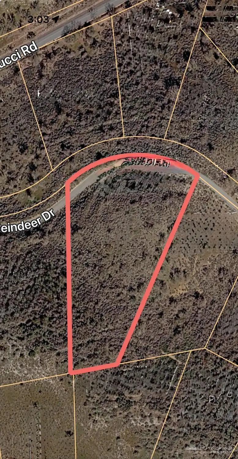 0 Reindeer Dr, Tehachapi, CA 93561 - #3