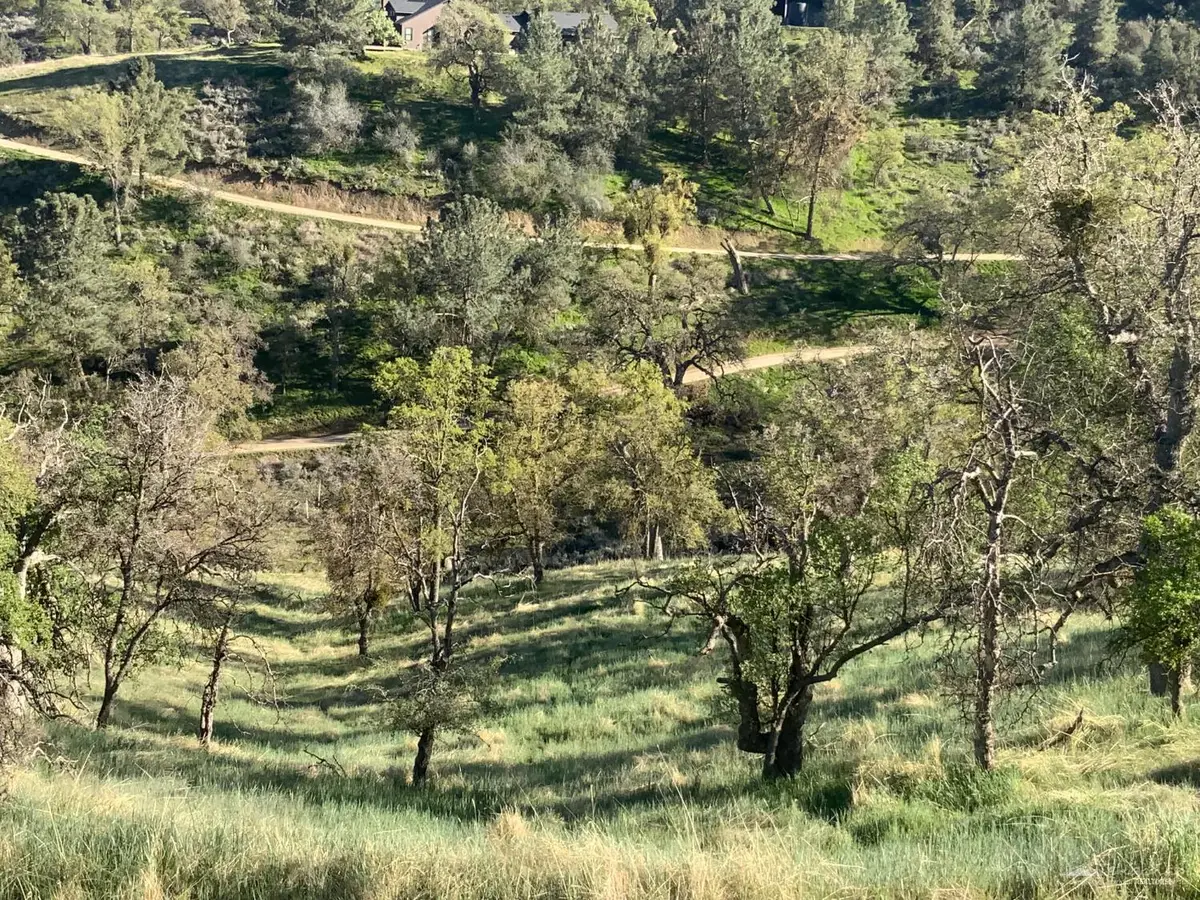 28600 Ridgeview Court, Tehachapi, CA 93561 - #1