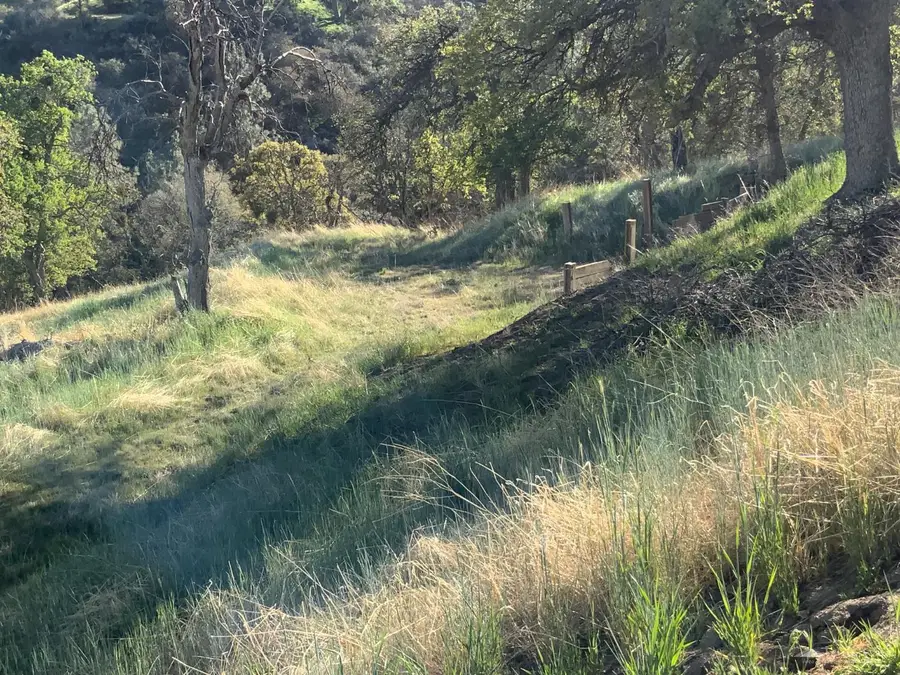 28600 Ridgeview Court, Tehachapi, CA 93561 - #3