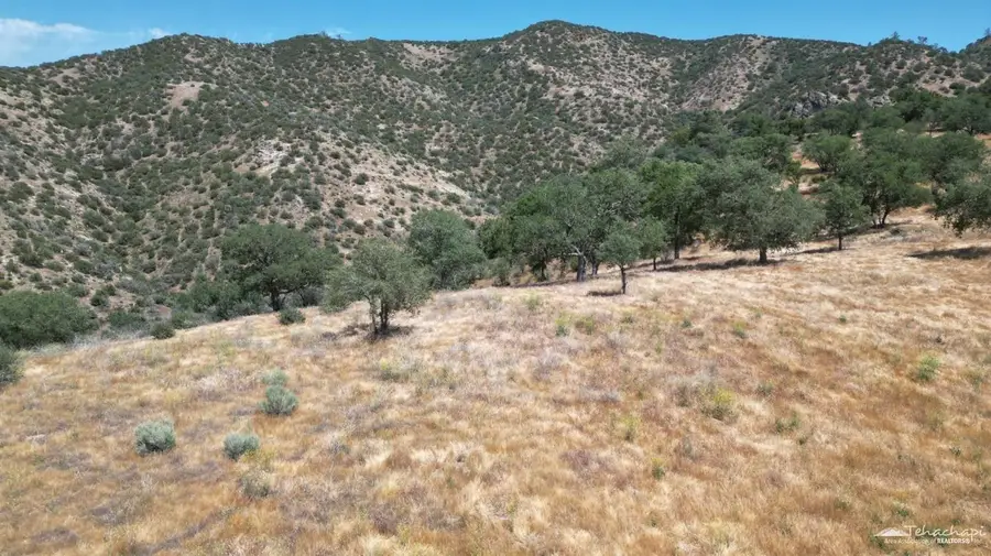 0 Hill Top Road, Caliente, CA 93518 - #2