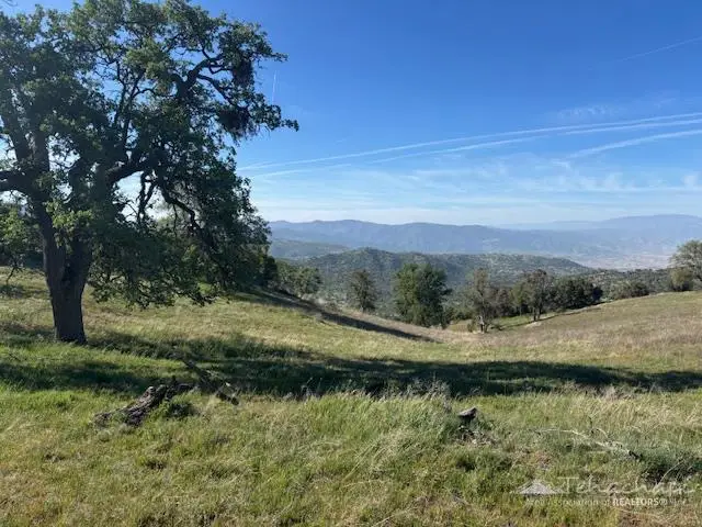 29350 Skyline Drive, Tehachapi, CA 93561 - #1