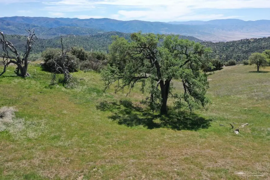 29350 Skyline Drive, Tehachapi, CA 93561 - #2