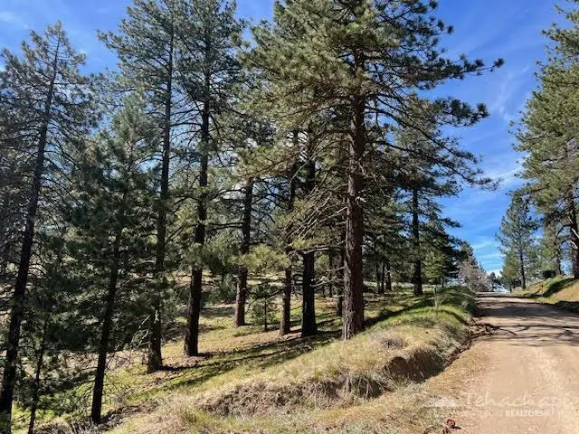 22400 Grimsel Drive, Tehachapi, CA 93561 - #2