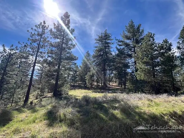 22400 Grimsel Drive, Tehachapi, CA 93561 - #3