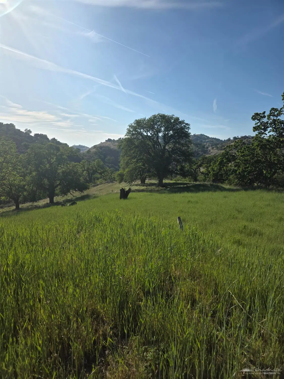 0 Forward Pass, Tehachapi, CA 93561 - #1