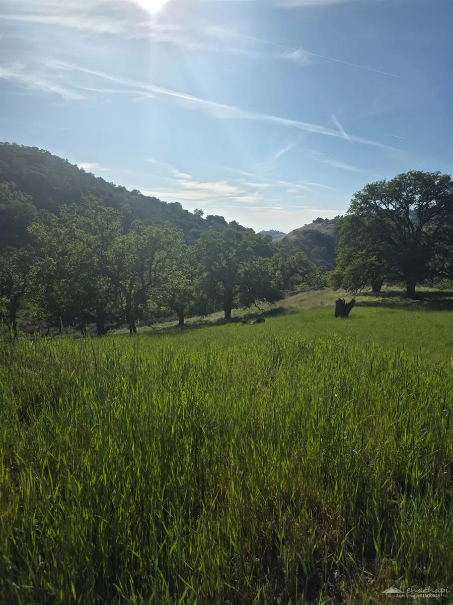 0 Forward Pass, Tehachapi, CA 93561 - #2