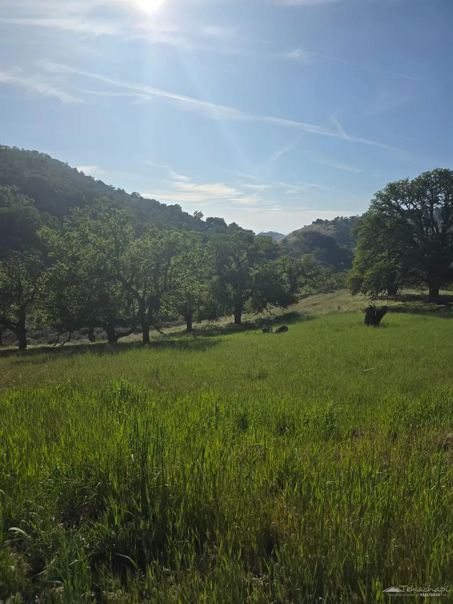 0 Forward Pass, Tehachapi, CA 93561 - #3