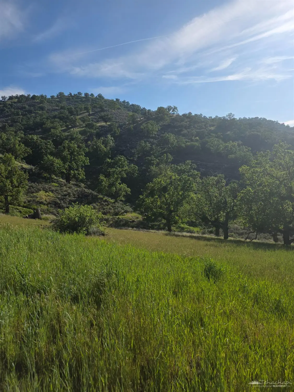0 Forward Pass Court, Tehachapi, CA 93561 - #1
