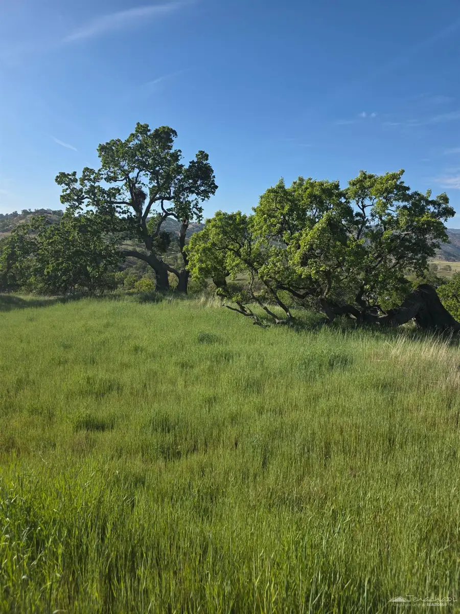 0 Forward Pass Court, Tehachapi, CA 93561 - #3